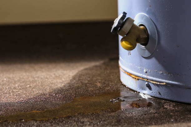 Best 24/7 water damage repair  in Watertown, SD