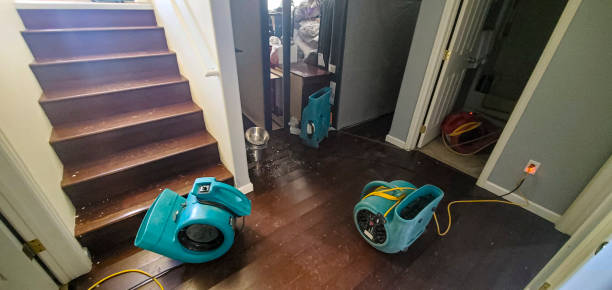 Best Ceiling water damage repair  in Watertown, SD