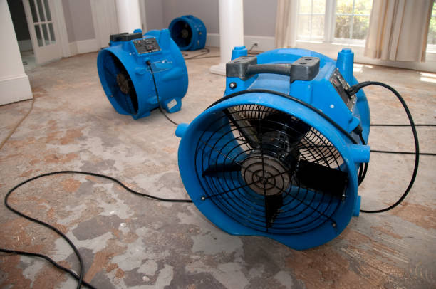  Watertown, SD Water damage restoration Pros