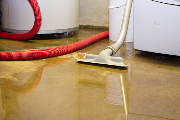 Best Flood restoration services  in Watertown, SD