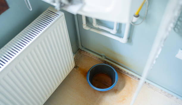Best Mold removal after water damage  in Watertown, SD
